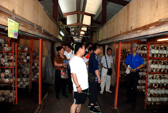 圖片關鍵詞 圖片關鍵詞