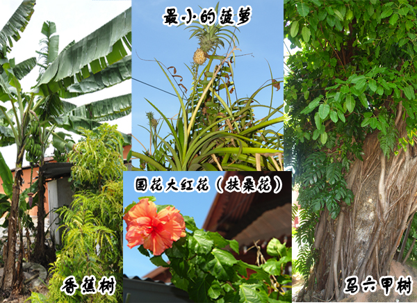 圖片關鍵詞 圖片關鍵詞