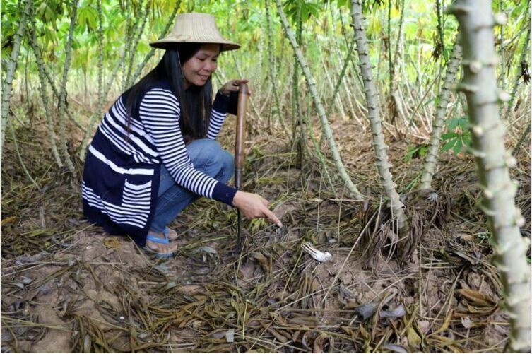 圖片關鍵詞 圖片關鍵詞