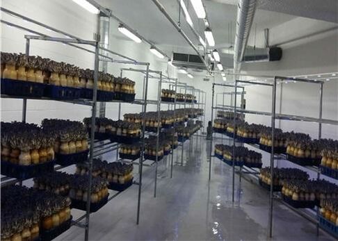 圖片關鍵詞 圖片關鍵詞