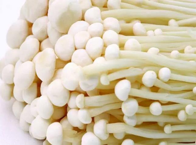 圖片關(guān)鍵詞 圖片關(guān)鍵詞