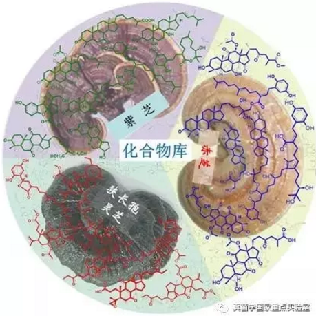 圖片關鍵詞 圖片關鍵詞