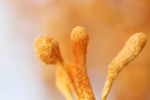 圖片關(guān)鍵詞 圖片關(guān)鍵詞