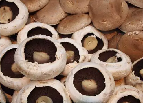 圖片關鍵詞 http://www.cawic.com.cn/ewebeditor/uploadfile/20170914091257506001.png