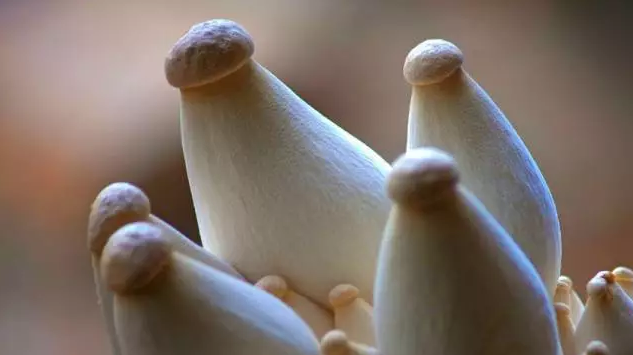 圖片關鍵詞 http://www.cawic.com.cn/ewebeditor/uploadfile/20170914091357269001.png