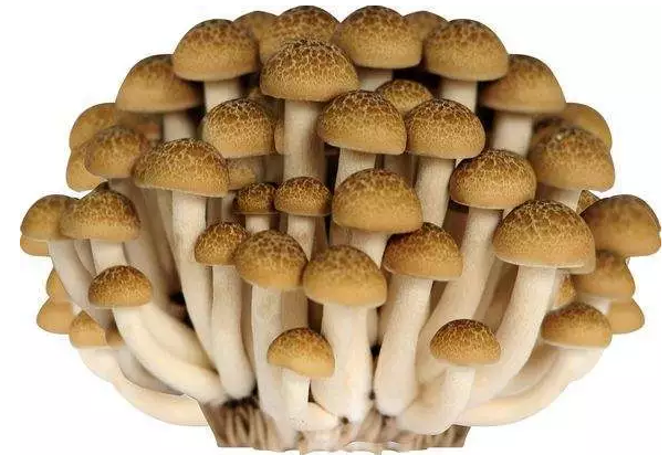 圖片關鍵詞 http://www.cawic.com.cn/ewebeditor/uploadfile/20170914091421667001.png