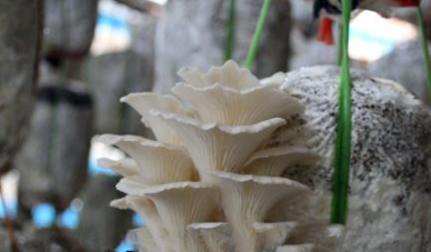 圖片關鍵詞 圖片關鍵詞