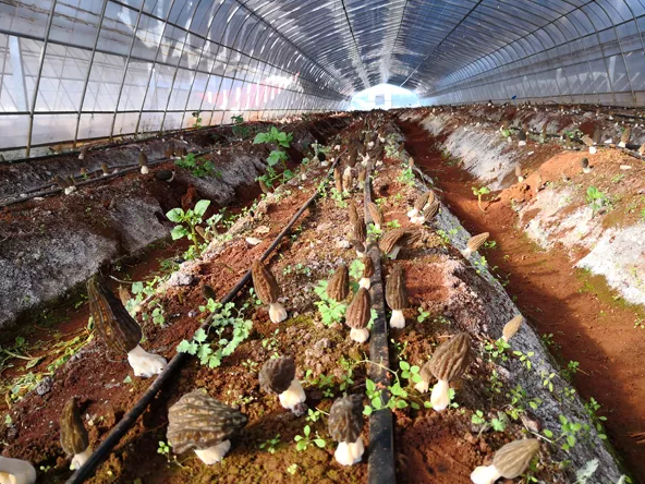 圖片關鍵詞 圖片關鍵詞