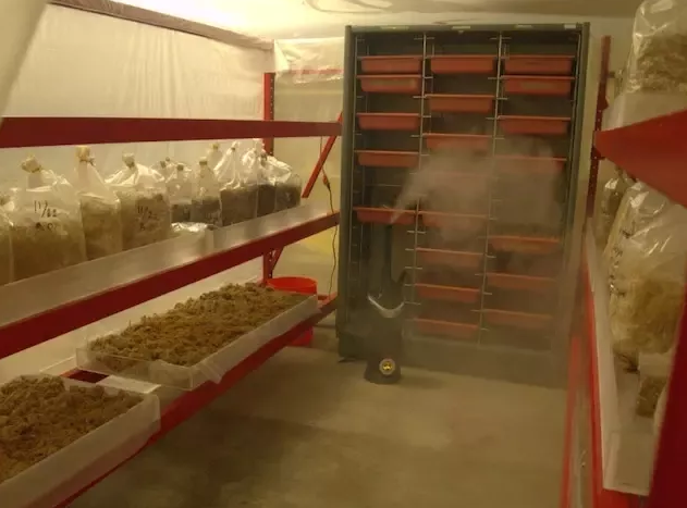 圖片關(guān)鍵詞 圖片關(guān)鍵詞