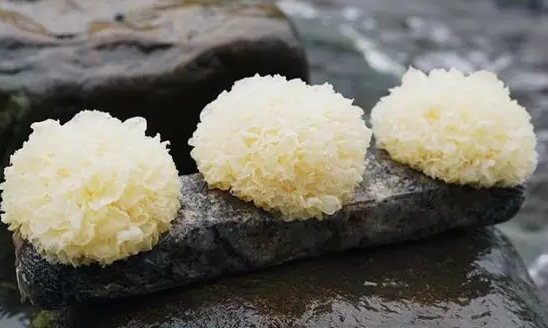 圖片關(guān)鍵詞 http://www.cawic.com.cn/ewebeditor/uploadfile/20180328092751720001.png