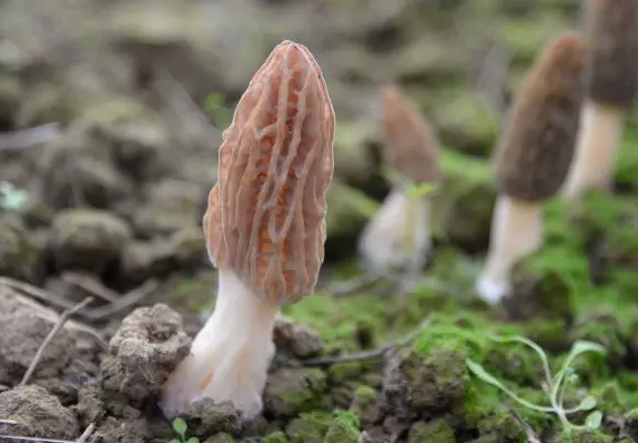 圖片關(guān)鍵詞 圖片關(guān)鍵詞