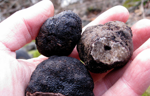 圖片關鍵詞 圖片關鍵詞