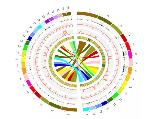 圖片關鍵詞 圖片關鍵詞