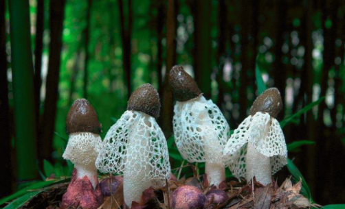 圖片關鍵詞 http://www.cawic.com.cn/ewebeditor/uploadfile/20180828110329835001.png