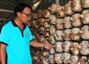 圖片關鍵詞 圖片關鍵詞