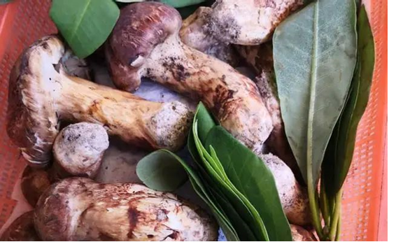 圖片關鍵詞 圖片關鍵詞