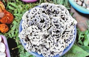 圖片關鍵詞 圖片關鍵詞