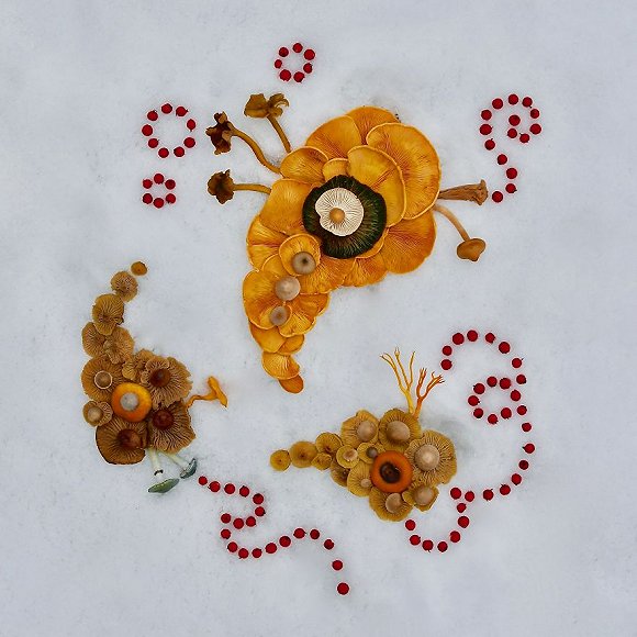 圖片關鍵詞 http://img2.jiemian.com/jiemian/original/20171123/151141534813005000_a580xH.jpg