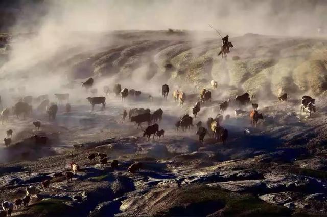 圖片關鍵詞 國家蘑菇地理:中國哪里的蘑菇最好吃?