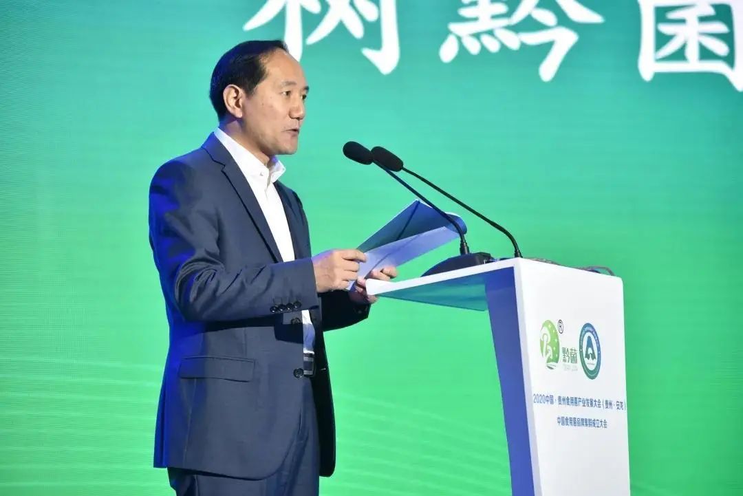 圖片關鍵詞 https://mmbiz.qpic.cn/mmbiz_jpg/tViaTicjwibVZmgEXXCALToc7mAB2rFo1Lnw2CWHfgSH2I30G1FXRBptB1eTUOflPxO6ia5FccUq1ia9HGmxrm8Tvibg/640?wx_fmt=jpeg