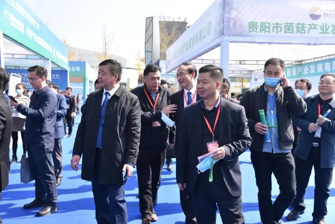 圖片關鍵詞 https://mmbiz.qpic.cn/mmbiz_jpg/tViaTicjwibVZmgEXXCALToc7mAB2rFo1LnVopXKhRPPC6Lpbx3uu8h5s23ibjG5icCGqSKScibzzVb3VWeYc4wQ8H6w/640?wx_fmt=jpeg