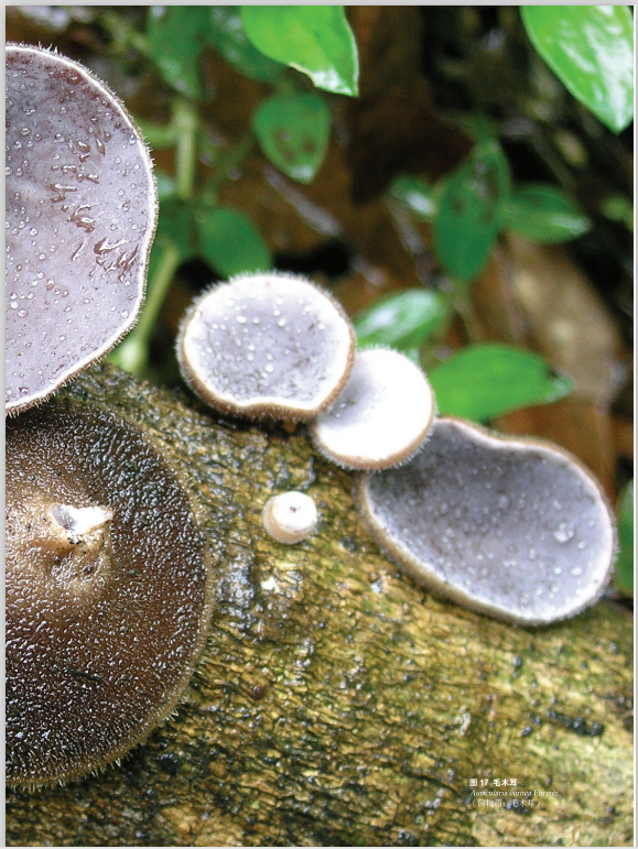 圖片關鍵詞 圖片