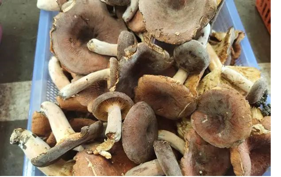 圖片關(guān)鍵詞 圖片關(guān)鍵詞