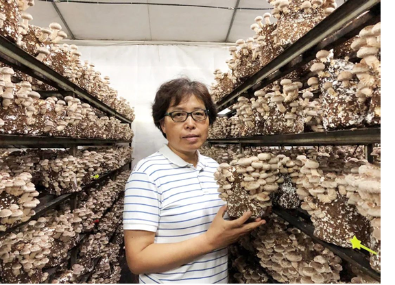 圖片關鍵詞 圖片關鍵詞