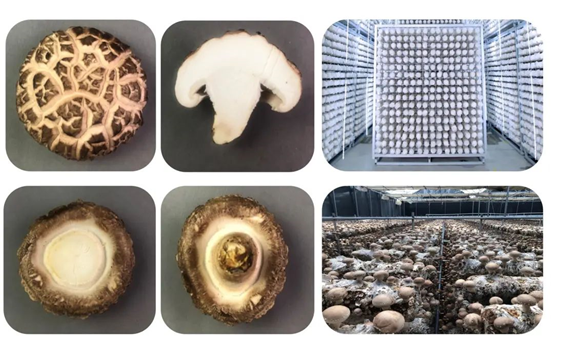 圖片關鍵詞 圖片關鍵詞