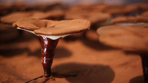 圖片關鍵詞 圖片關鍵詞