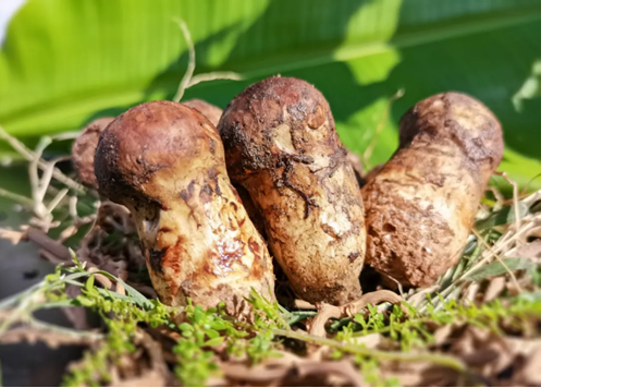 圖片關鍵詞 圖片關鍵詞