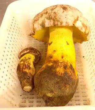 圖片關鍵詞 圖片