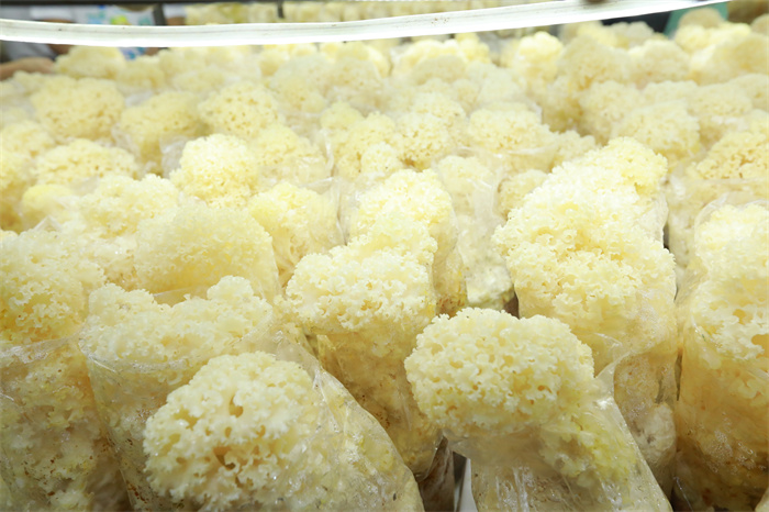 圖片關鍵詞 圖片關鍵詞