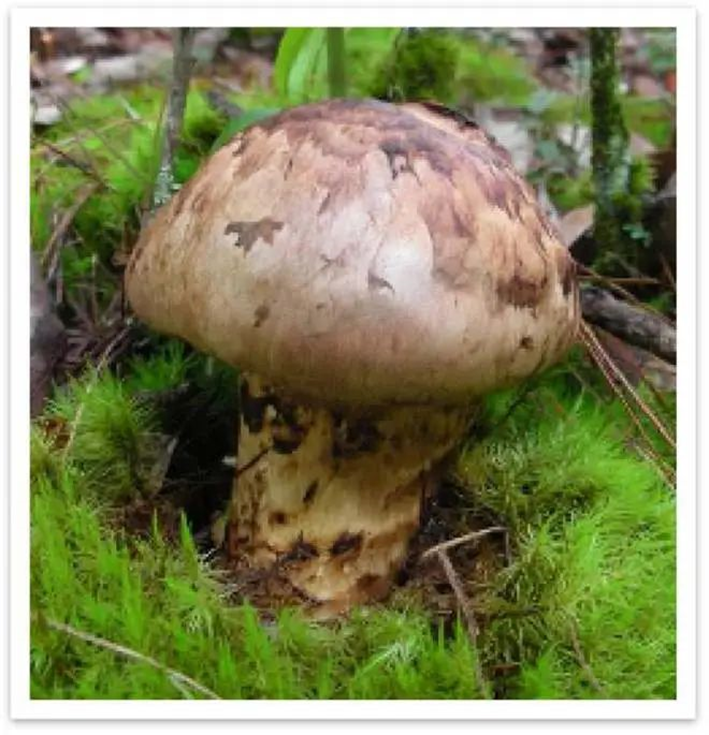 圖片關鍵詞 圖片關鍵詞