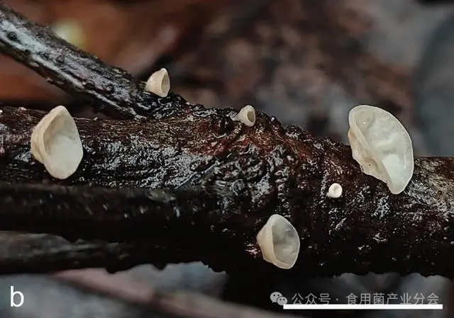 圖片關鍵詞 圖片關鍵詞