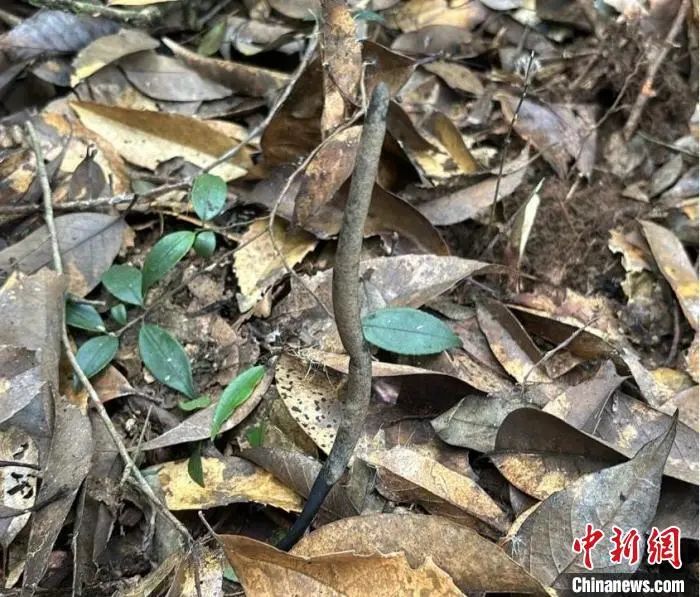 圖片關(guān)鍵詞 圖片關(guān)鍵詞