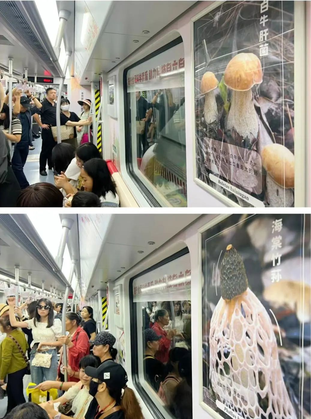 圖片關鍵詞 圖片關鍵詞