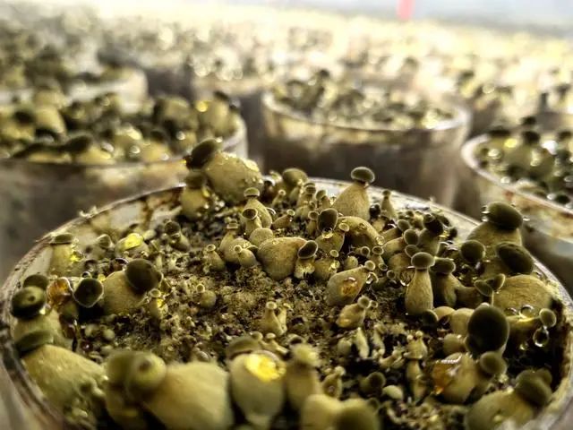 圖片關鍵詞 圖片關鍵詞