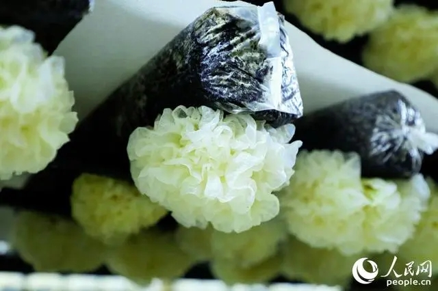 圖片關鍵詞 圖片關鍵詞