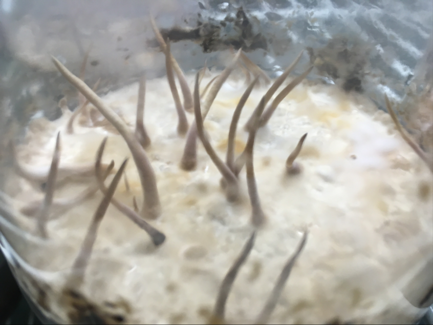 圖片關鍵詞 圖片關鍵詞