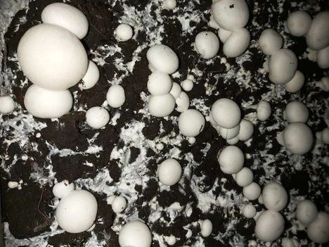 圖片關鍵詞 圖片關鍵詞