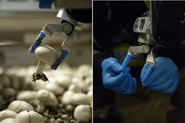 圖片關鍵詞 圖片關鍵詞