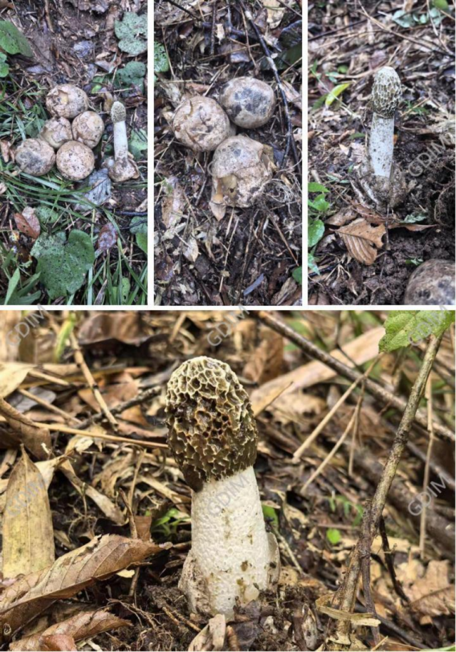 圖片關(guān)鍵詞 圖片關(guān)鍵詞