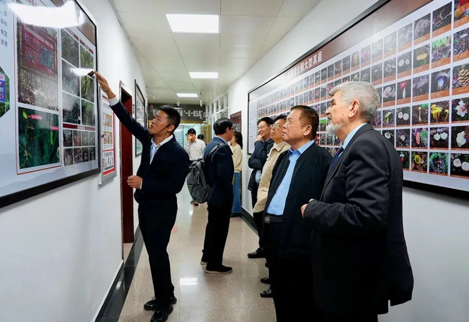 圖片關(guān)鍵詞