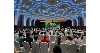 專(zhuān)題報(bào)道