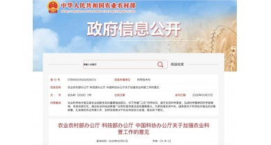 行業(yè)動(dòng)態(tài)