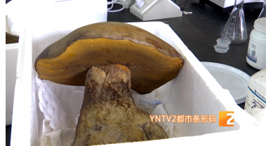 行業動態